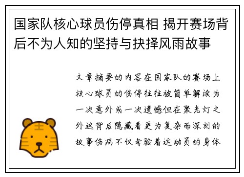 国家队核心球员伤停真相 揭开赛场背后不为人知的坚持与抉择风雨故事